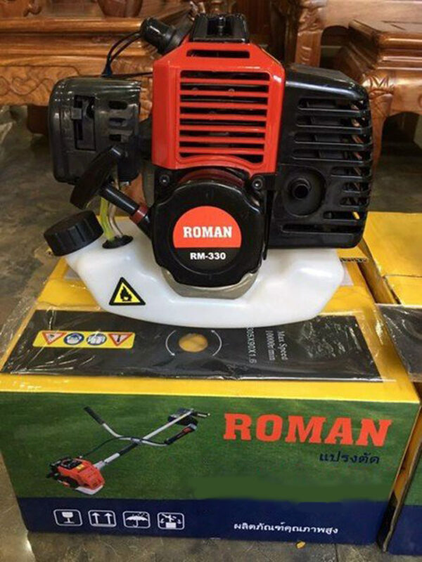 Hình ảnh thực tế của máy Roman RM-330