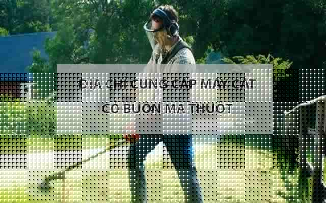 Máy cắt cỏ Buôn Ma Thuột