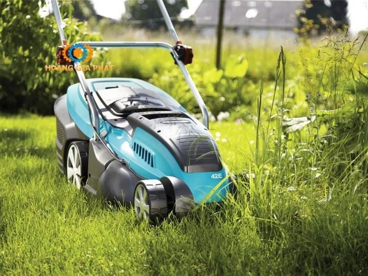 Máy cắt cỏ thảm