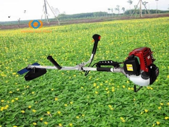 Máy cắt cỏ thảm