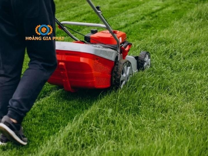 Máy cắt cỏ thảm