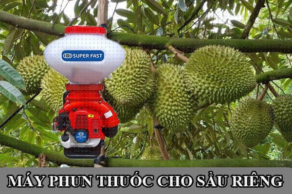 Máy phun thuốc cho sầu riêng
