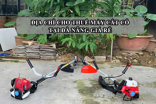 Địa chỉ cho thuê máy cắt cỏ tại Đà Nẵng giá rẻ